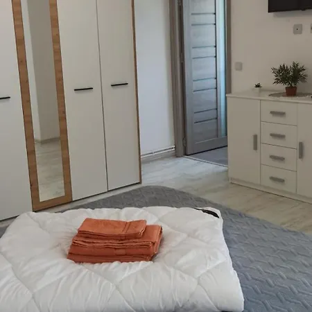 Nezar Apartment Craiova